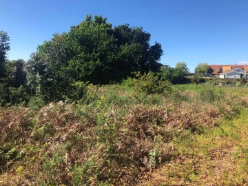 Terreno para Venda em Seixas