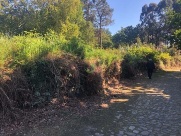 Terreno para Venda em Seixas