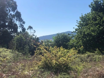 Terreno para Venda em Seixas