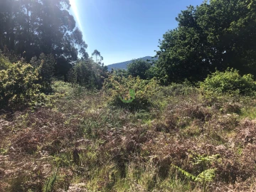 Terreno para Venda em Seixas