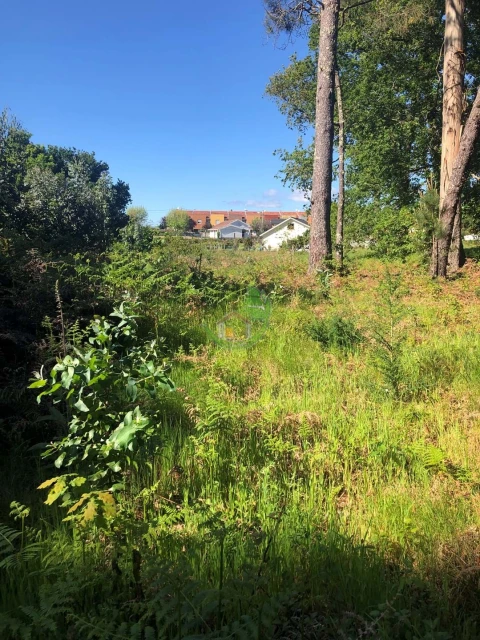 Terreno para Venda em Seixas
