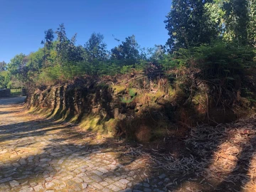 Terreno para Venda em Seixas