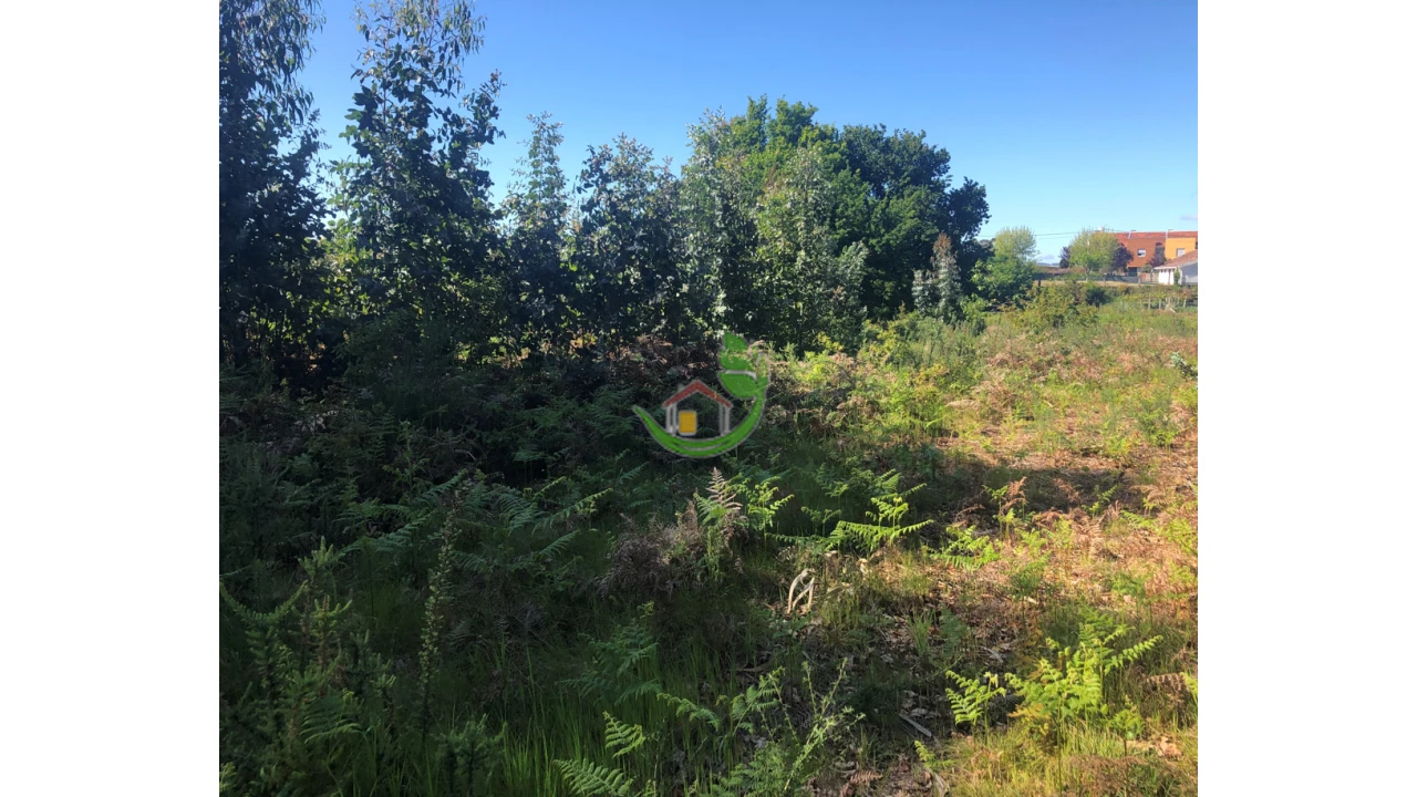 Terreno para Venda em Seixas Foto 5