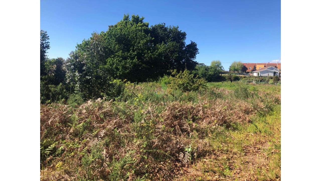 Terreno para Venda em Seixas Foto 6