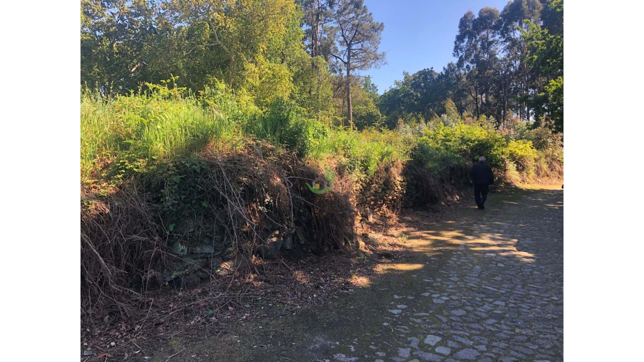 Terreno para Venda em Seixas Foto 1