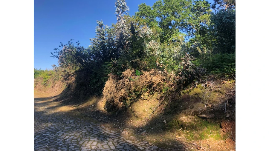 Terreno para Venda em Seixas Foto 2