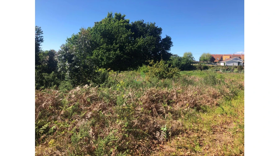 Terreno para Venda em Seixas Foto 6