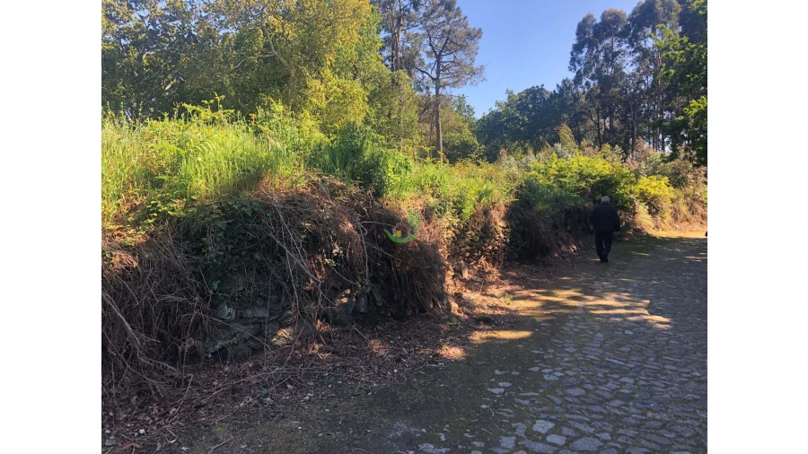 Terreno para Venda em Seixas Foto 1