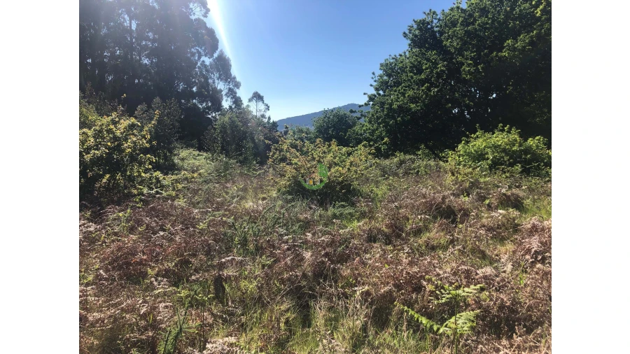 Terreno para Venda em Seixas Foto 8