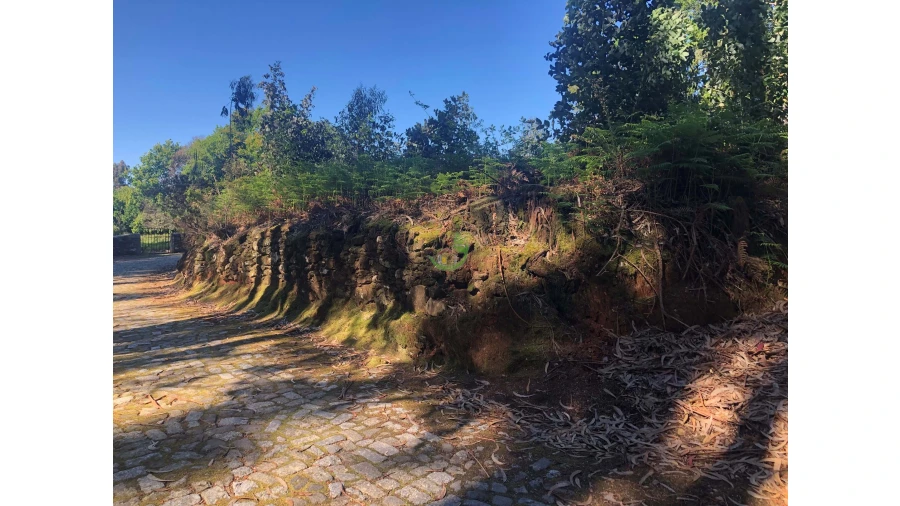 Terreno para Venda em Seixas Foto 3