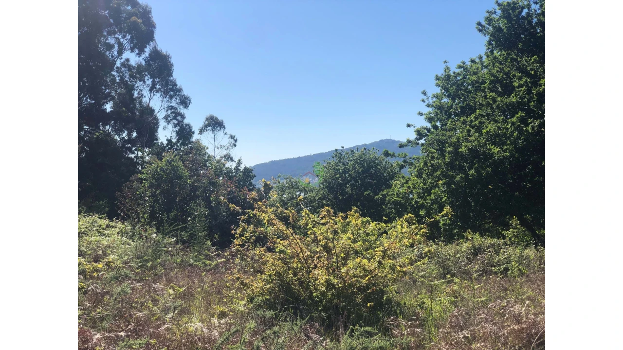 Terreno para Venda em Seixas Foto 9