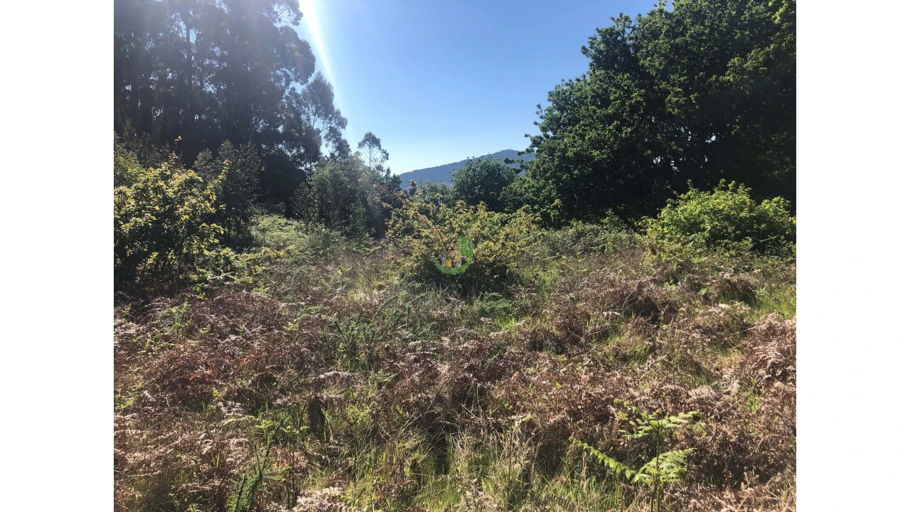 Terreno para Venda em Seixas Foto 8