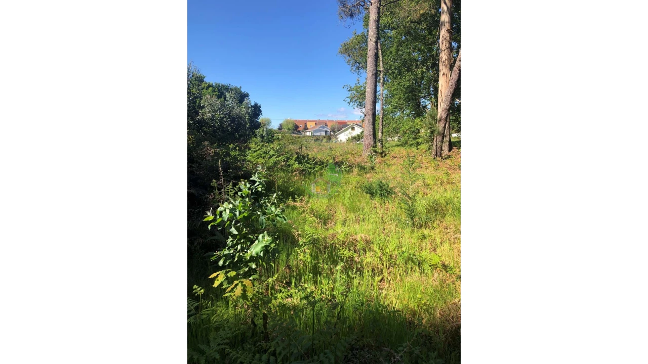 Terreno para Venda em Seixas Foto 12