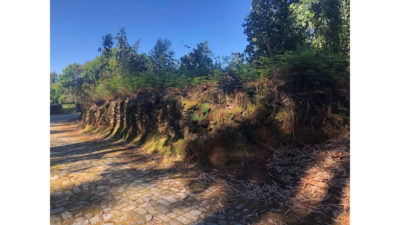 Terreno para Venda em Seixas Foto 3