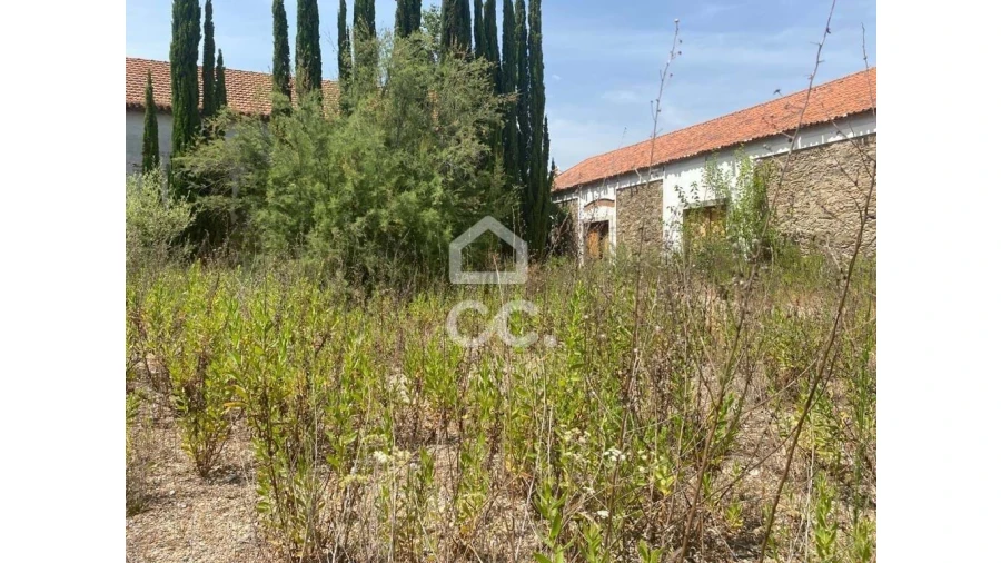 Moradia T6 para Venda em Constancia Foto 16