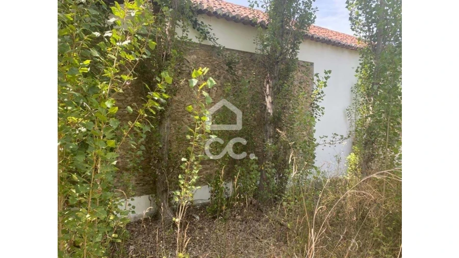 Moradia T6 para Venda em Constancia Foto 17