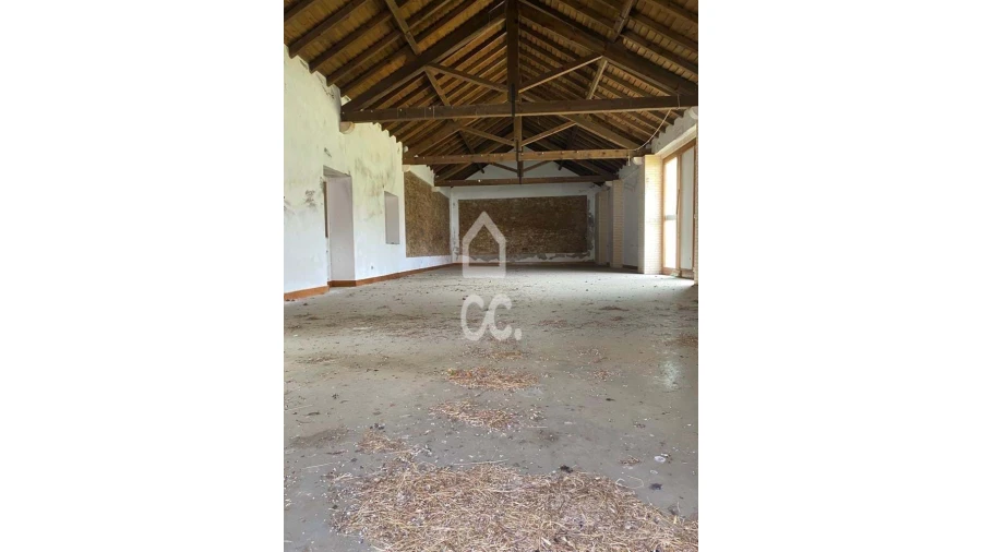 Moradia T6 para Venda em Constancia Foto 5