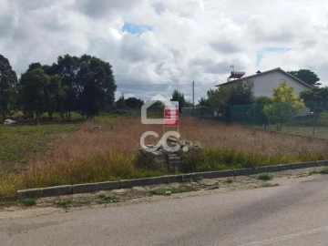 Terreno para Venda em Monte Real e Carvide