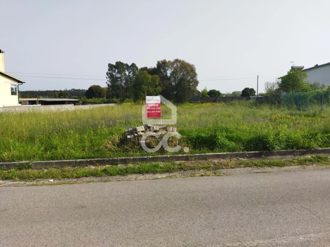 Terreno para Venda em Monte Real e Carvide Foto 3