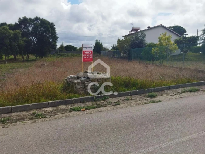 Terreno para Venda em Monte Real e Carvide Foto 8