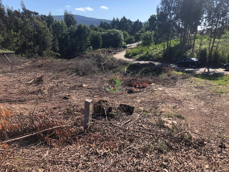 Terreno para Venda em Seixas Foto 6