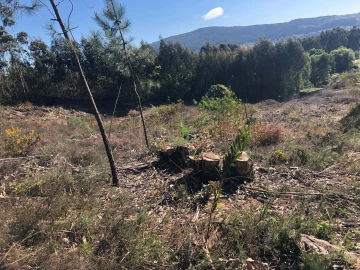 Terreno para Venda em Seixas