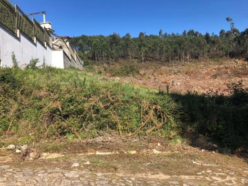 Terreno para Venda em Seixas