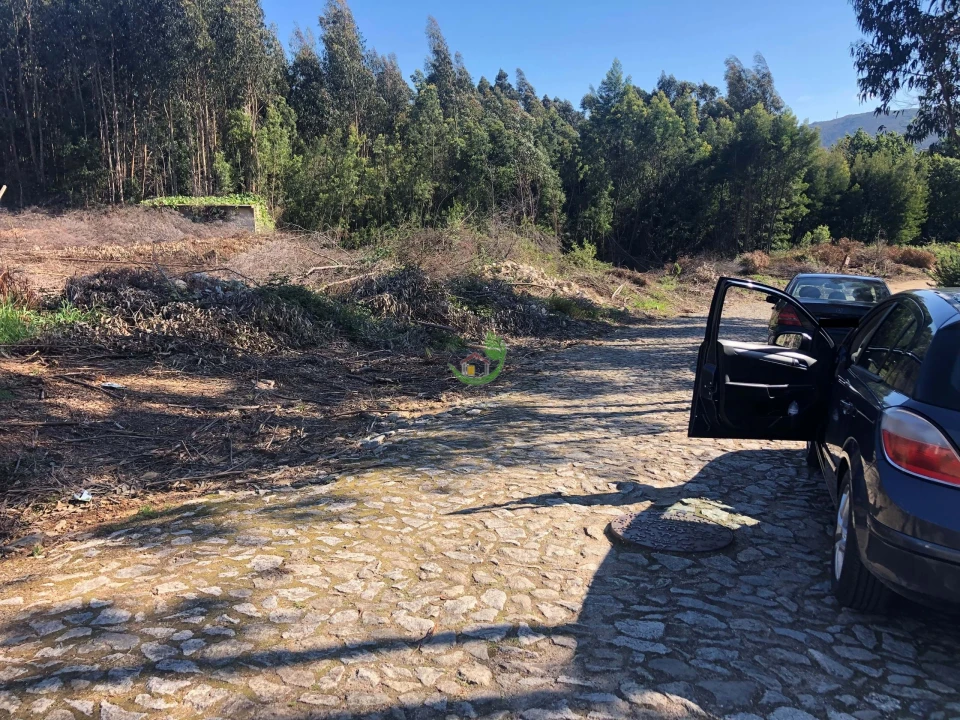 Terreno para Venda em Seixas Foto 3
