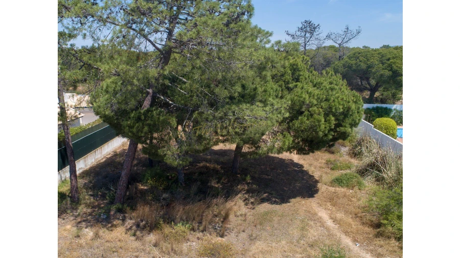 Terreno para Venda em Almancil Foto 3