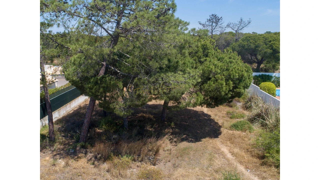 Terreno para Venda em Almancil Foto 3