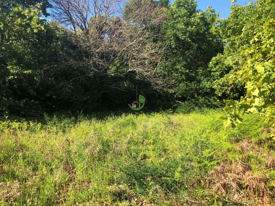 Terreno para Venda em Seixas Foto 3