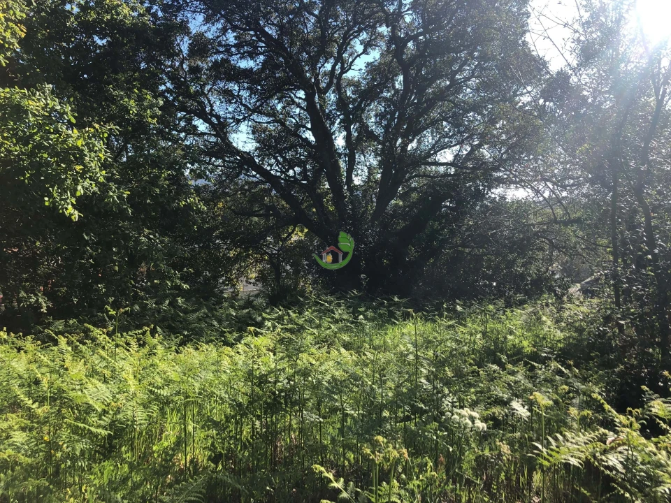 Terreno para Venda em Seixas Foto 5