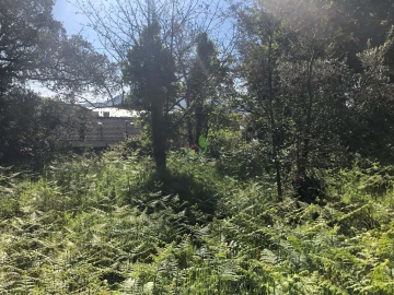 Terreno para Venda em Seixas