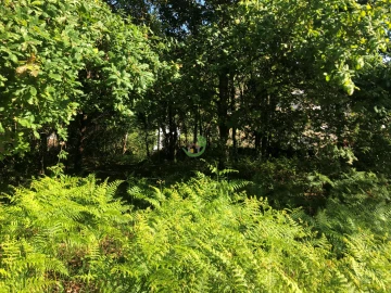 Terreno para Venda em Seixas