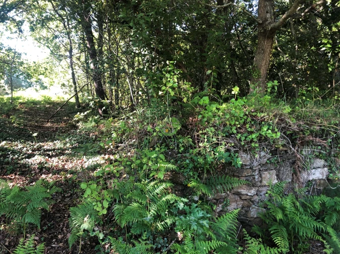 Terreno para Venda em Seixas