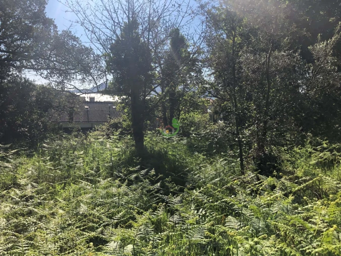 Terreno para Venda em Seixas Foto 2