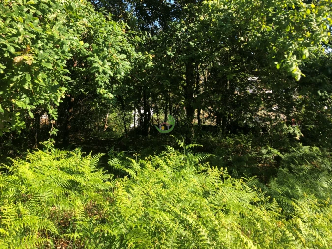 Terreno para Venda em Seixas Foto 6