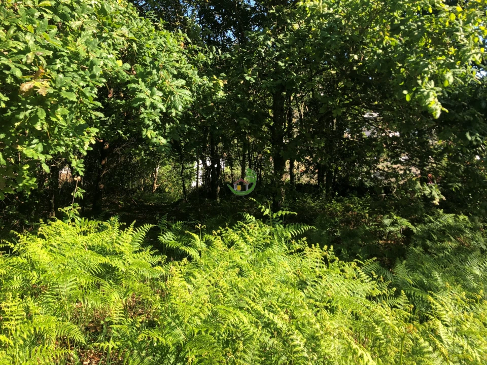 Terreno para Venda em Seixas Foto 6