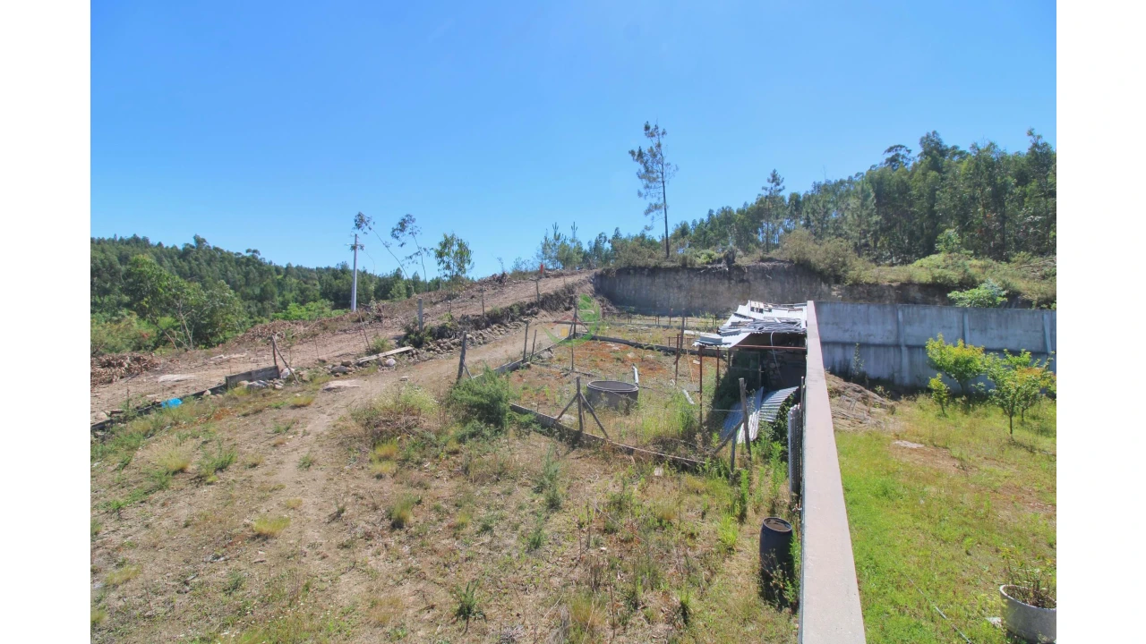 Terreno para Venda em Briteiros São Salvador e Briteiros Santa Leocádia Foto 4