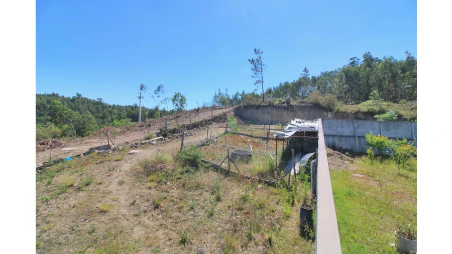 Terreno para Venda em Briteiros São Salvador e Briteiros Santa Leocádia Foto 4
