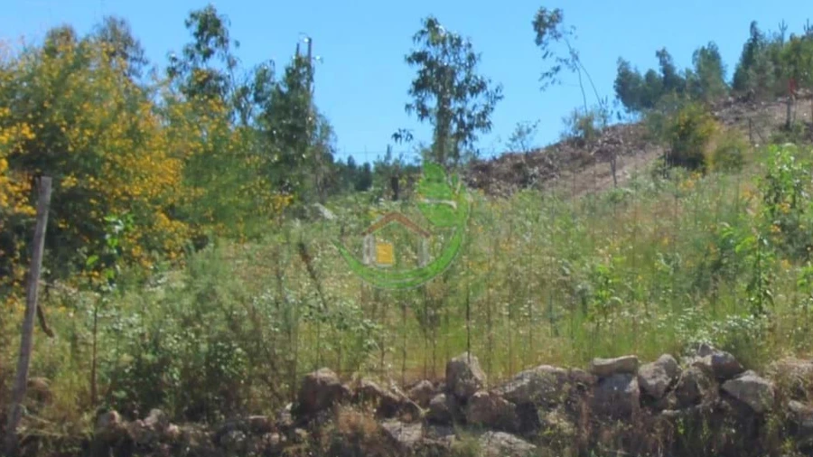 Terreno para Venda em Briteiros São Salvador e Briteiros Santa Leocádia