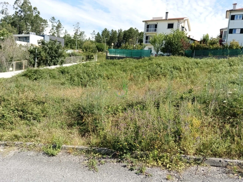 Terreno para Venda em Vila Verde e Barbudo Foto 6