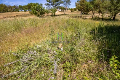 Terreno para Venda em Aljezur