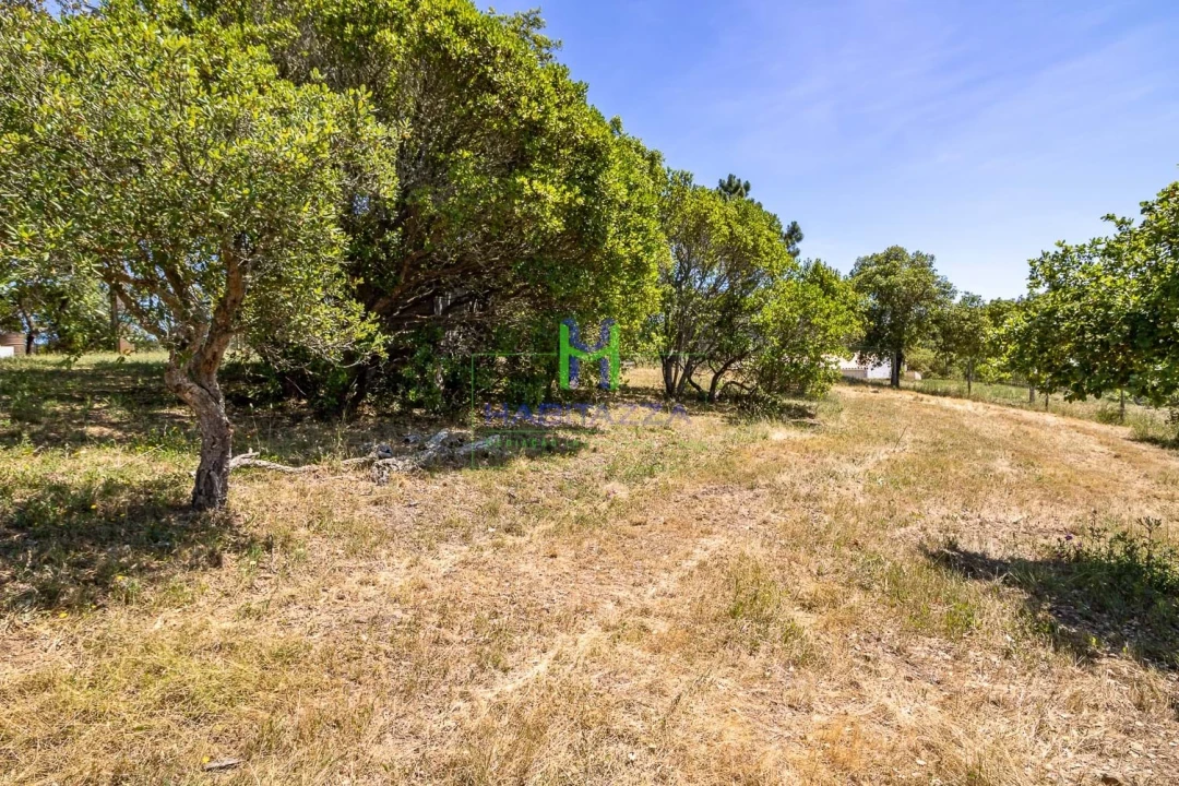 Terreno para Venda em Aljezur Foto 2