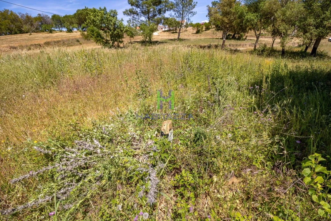 Terreno para Venda em Aljezur Foto 14