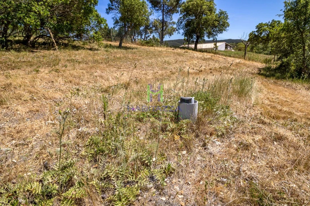 Terreno para Venda em Aljezur Foto 4