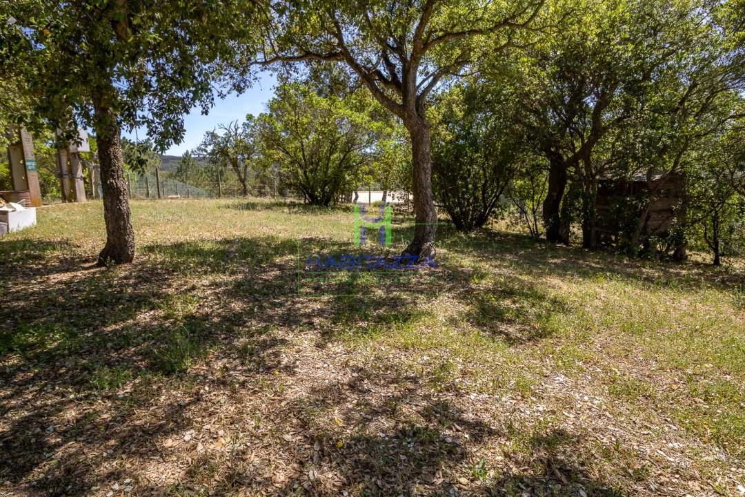 Terreno para Venda em Aljezur Foto 6