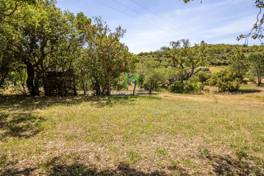 Terreno para Venda em Aljezur Foto 1