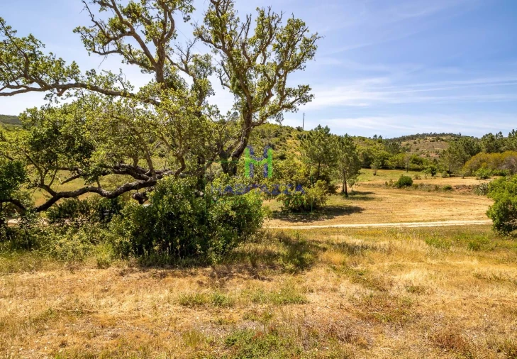 Terreno para Venda em Aljezur Foto 3