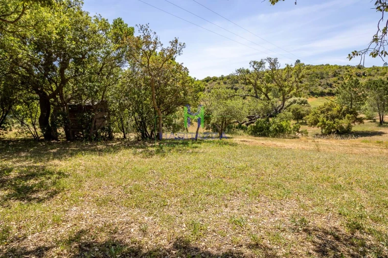 Terreno para Venda em Aljezur